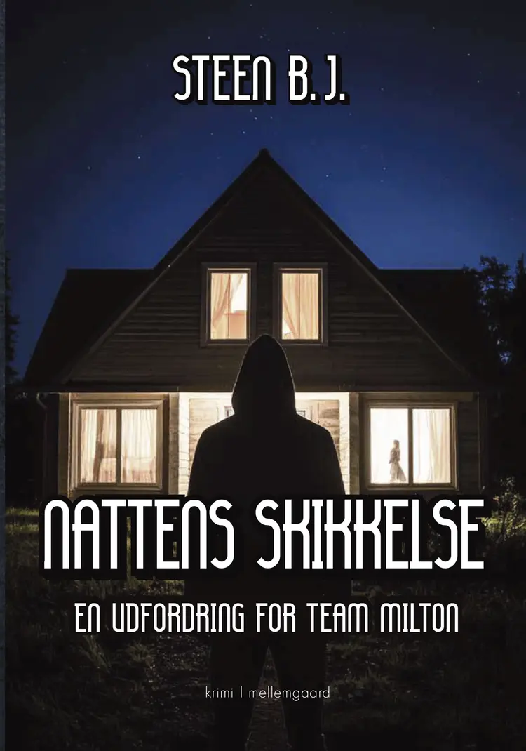 Nattens skikkelse af Steen B. J.