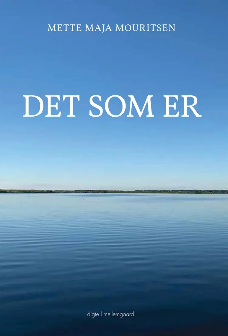 DET SOM ER af Mette Maja Mouritsen
