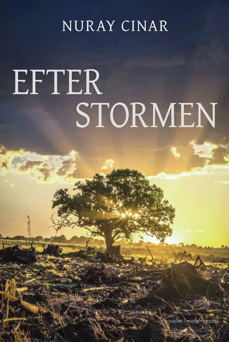 Efter stormen af Nuray Cinar