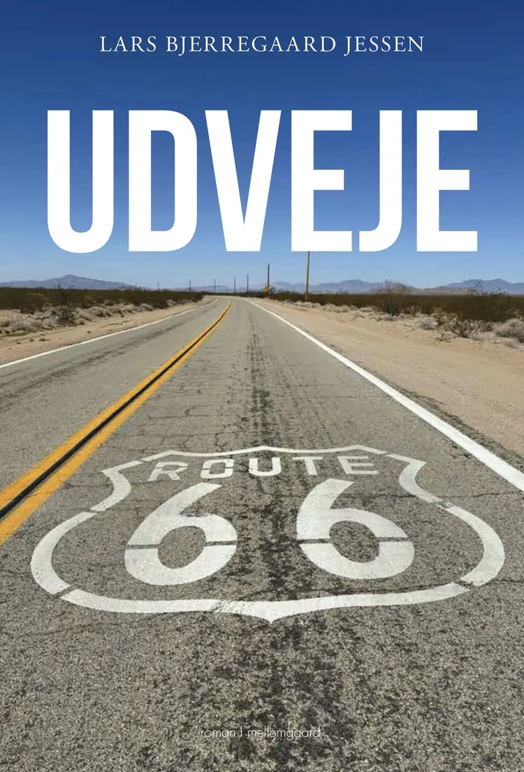 Udveje af Lars Bjerregaard Jessen