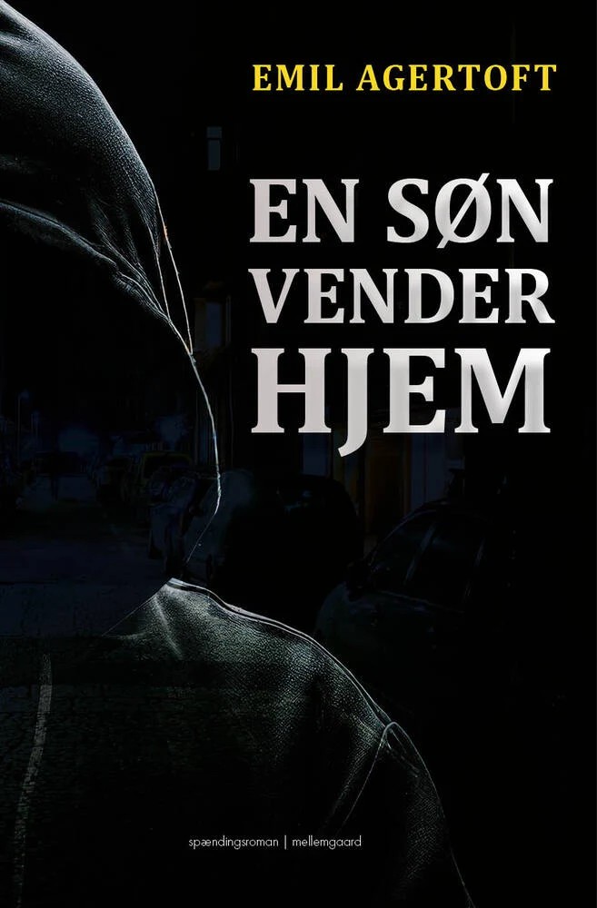 En søn vender hjem cover