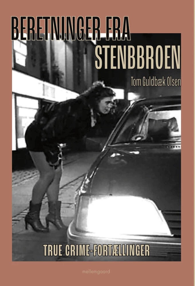 Beretninger fra stenbroen cover