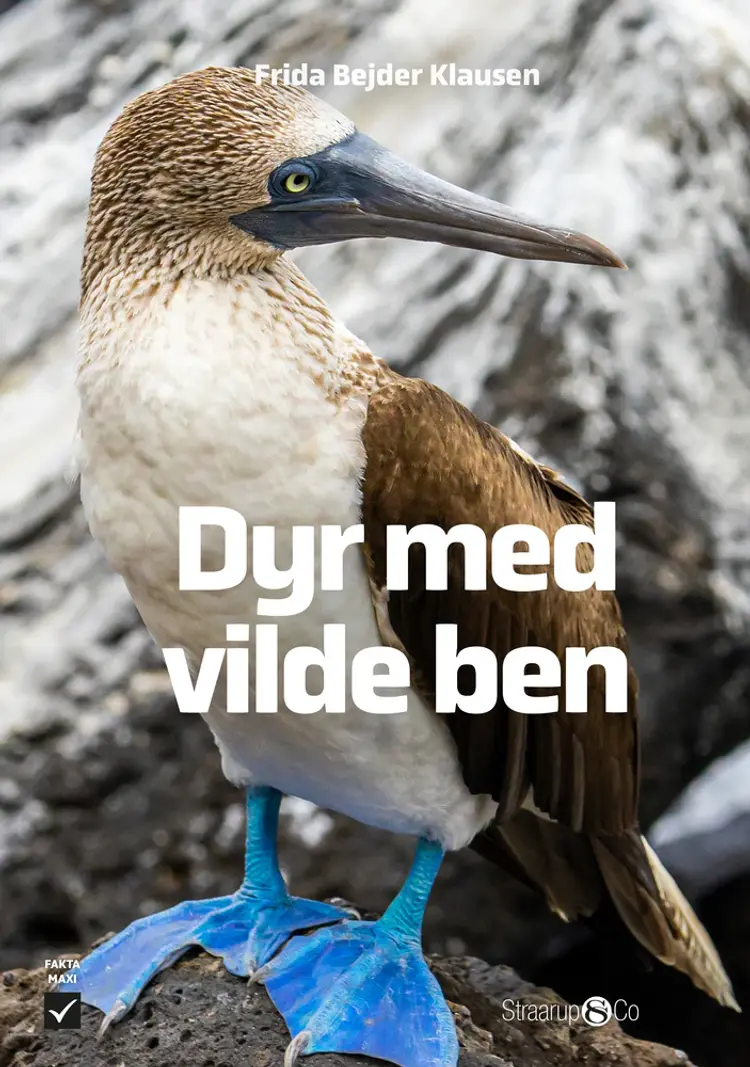 Dyr med vilde ben af Frida Bejder Klausen