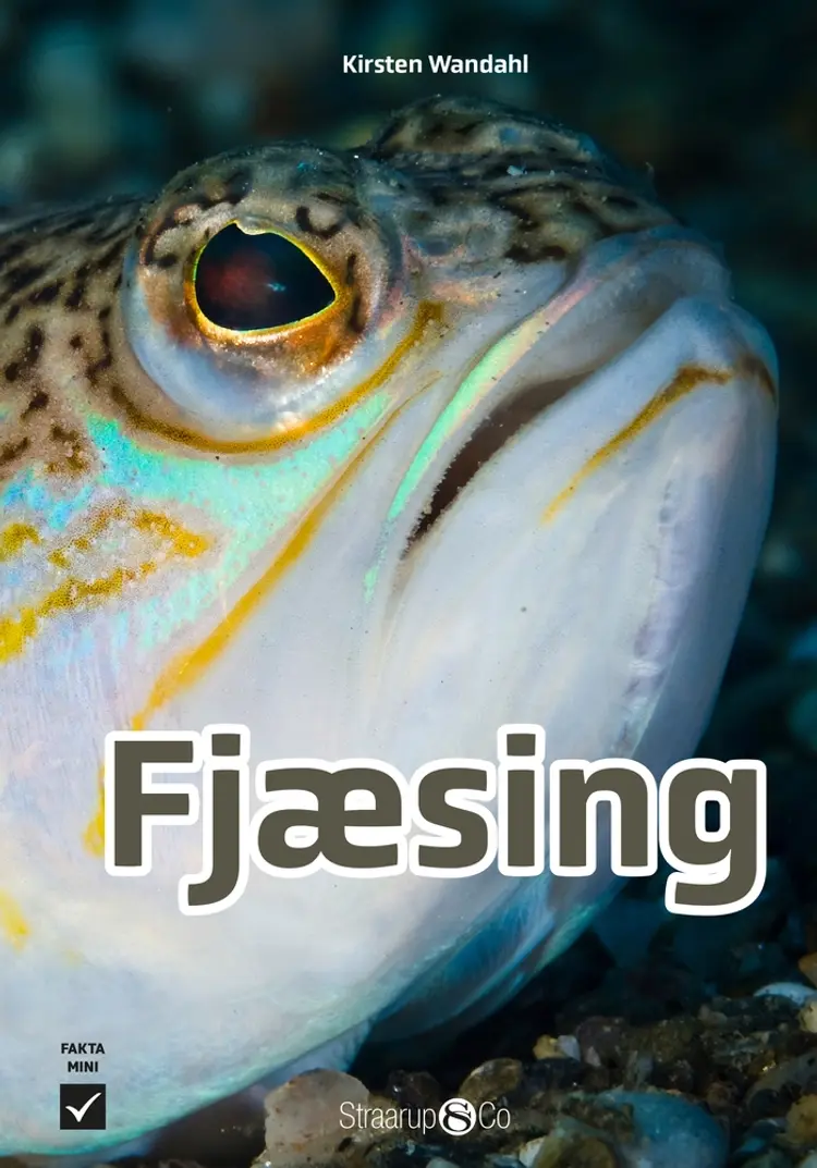 Fjæsing af Kirsten Wandahl