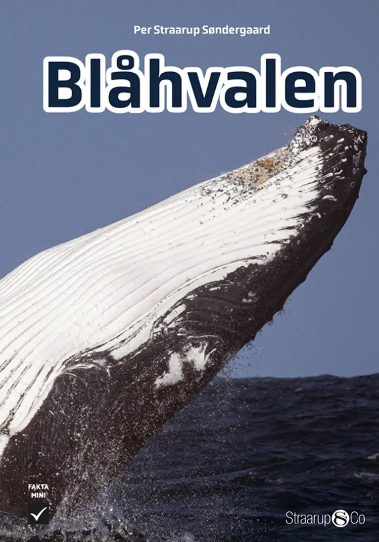 Blåhvalen af Per Straarup Søndergaard