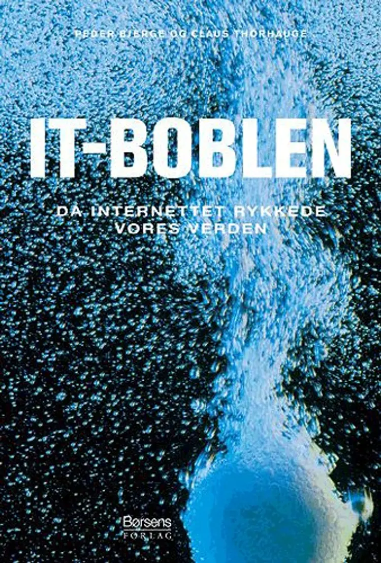 IT-boblen af Peder Bjerge