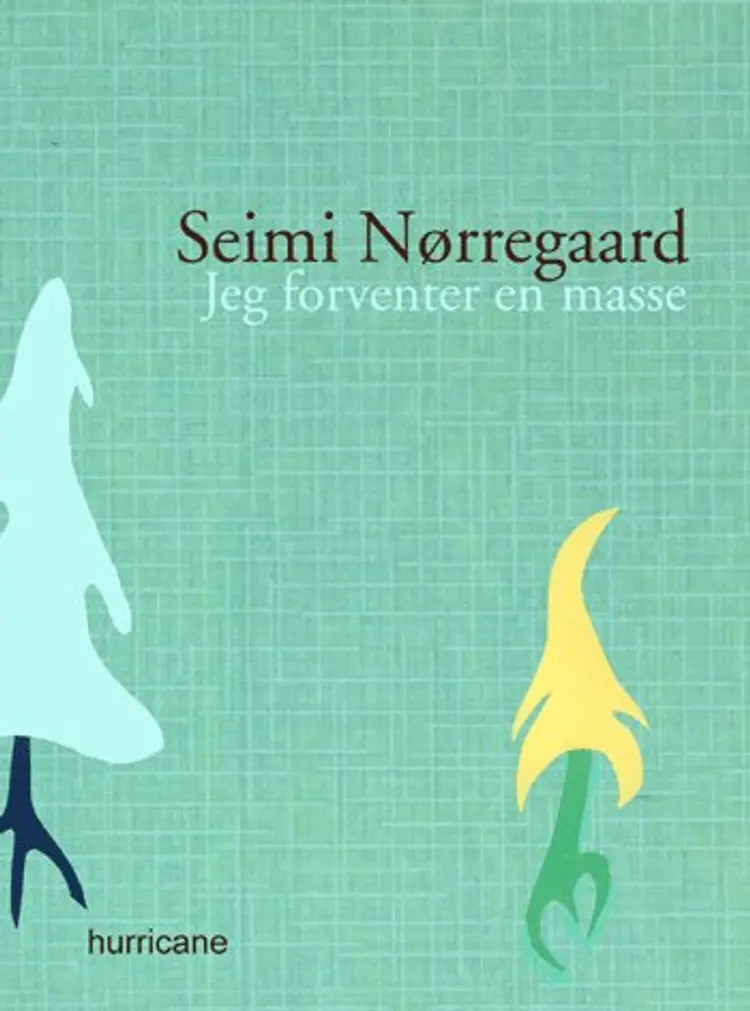 Jeg forventer en masse af Seimi Nørregaard