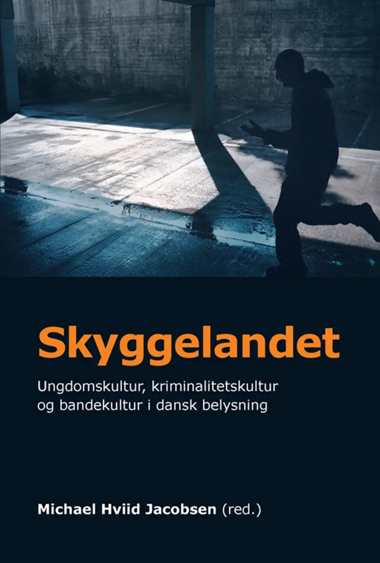 Skyggelandet af Michael Hviid Jacobsen