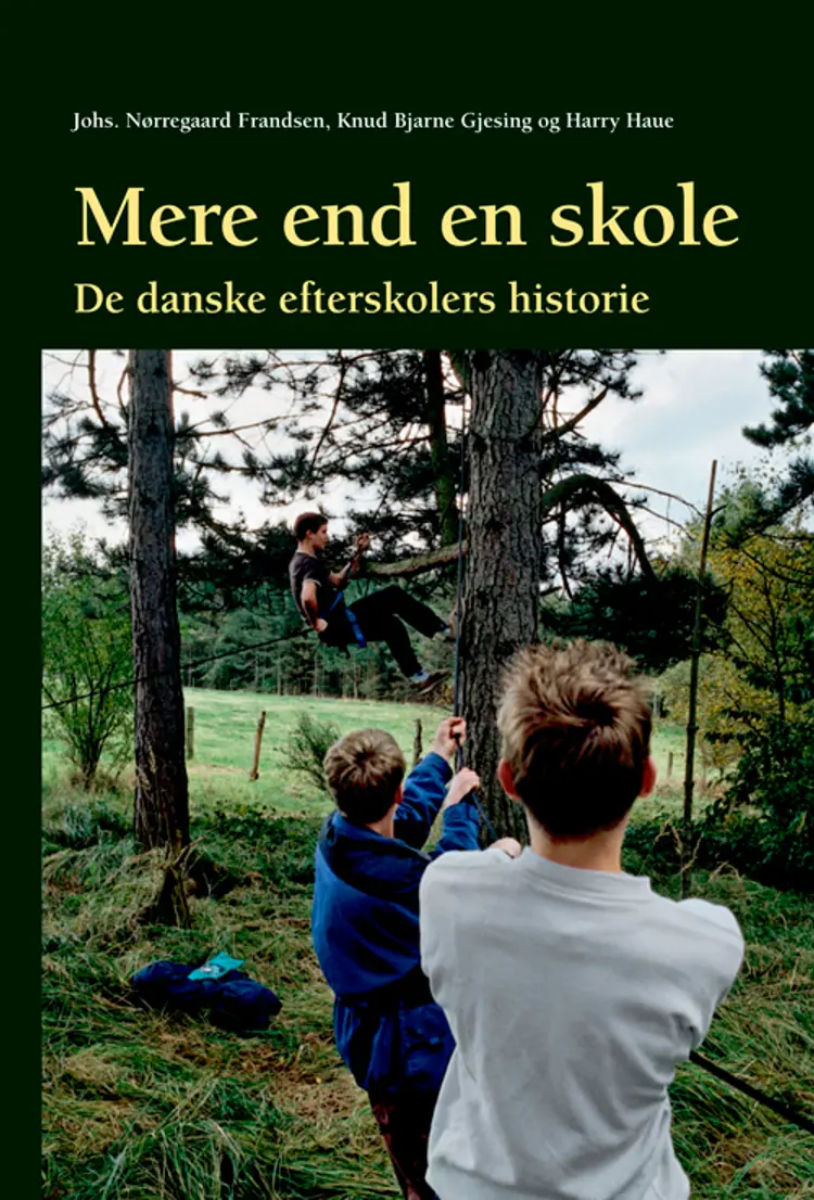 Mere end en skole af Harry Haue