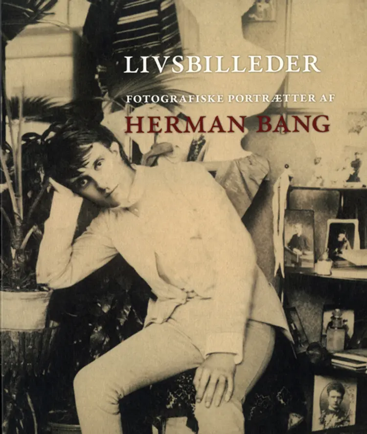 Livsbilleder af Dag Heede