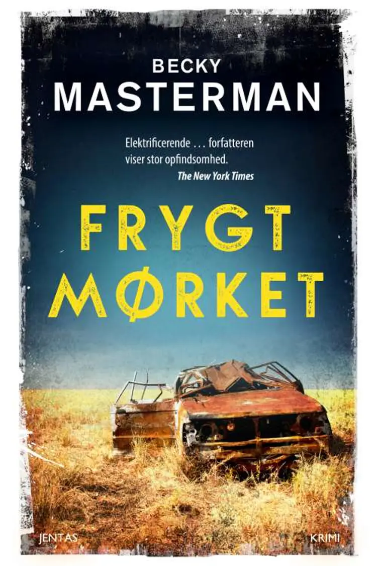 Frygt mørket af Becky Masterman