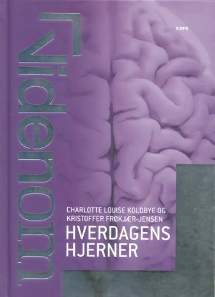 Hverdagens hjerner af Charlotte Louise Koldbye Kristoffer Frøkjær-Jensen