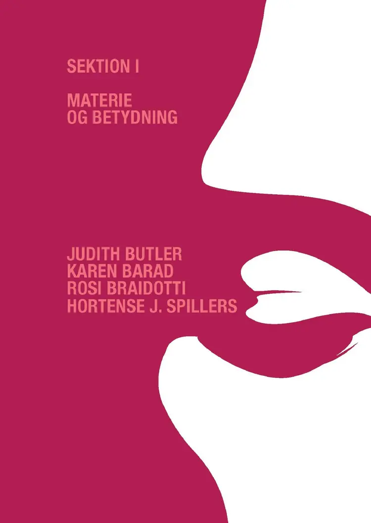 Materie og betydning af Dorthe Staunæs