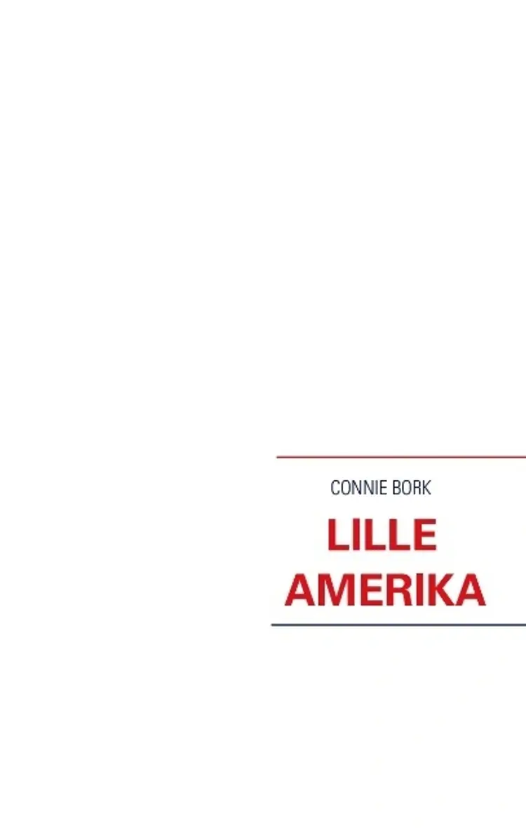 Lille Amerika af Connie Bork