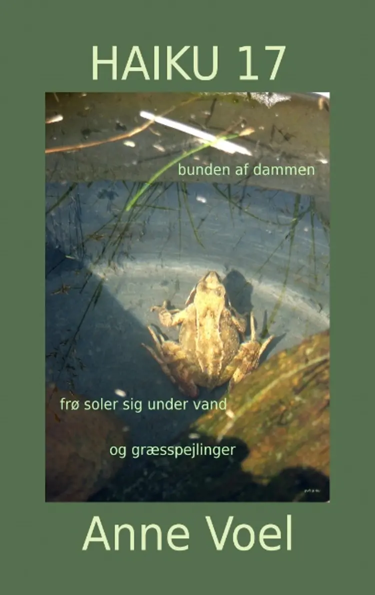 Haiku 17 af Anne Voel