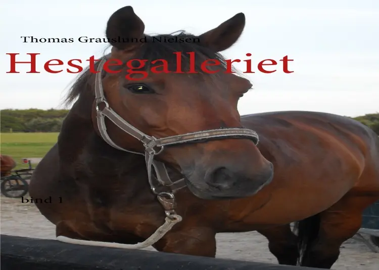 Hestegalleriet af Thomas Grauslund Nielsen