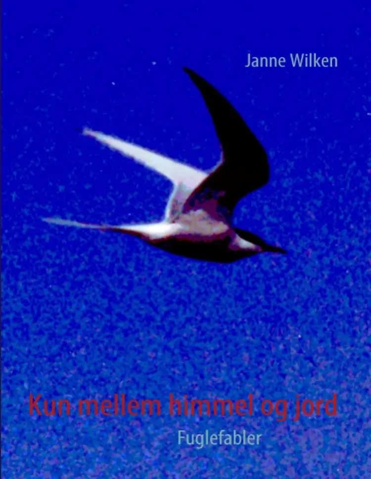 Kun mellem himmel og jord af Janne Wilken