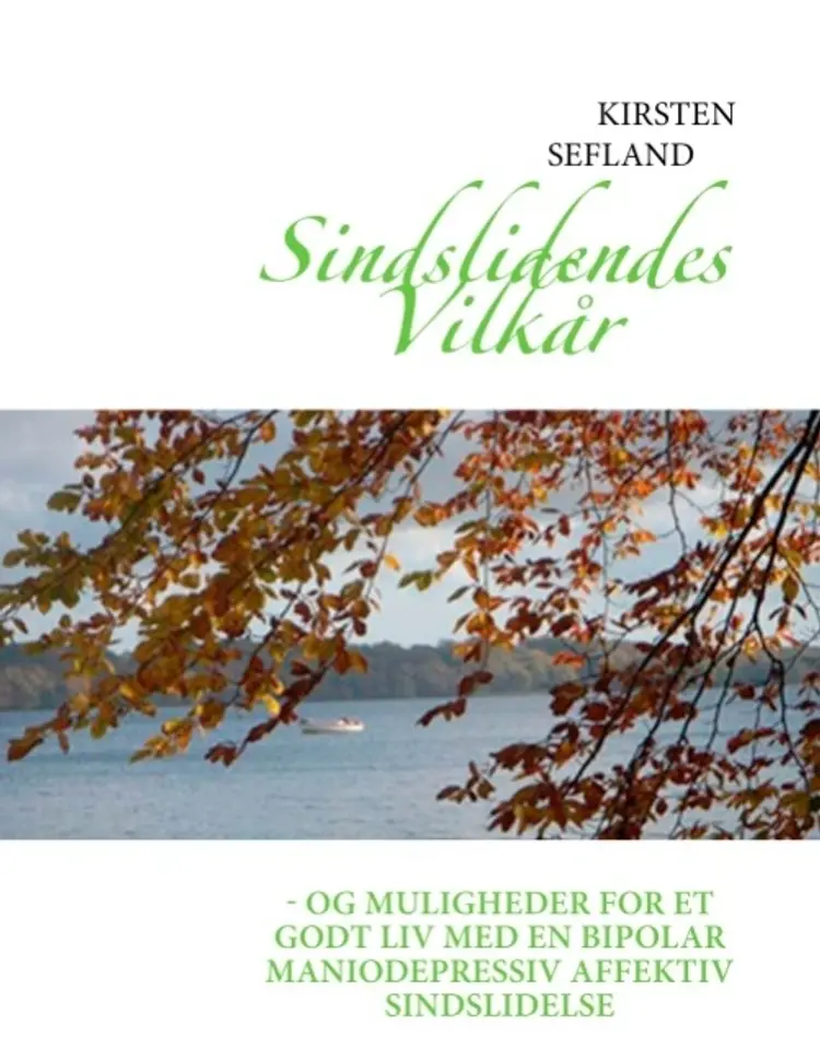 Sindslidendes vilkår og muligheder for et godt liv med en bipolar maniodepressiv affektiv sindslidelse af Kirsten Sefland