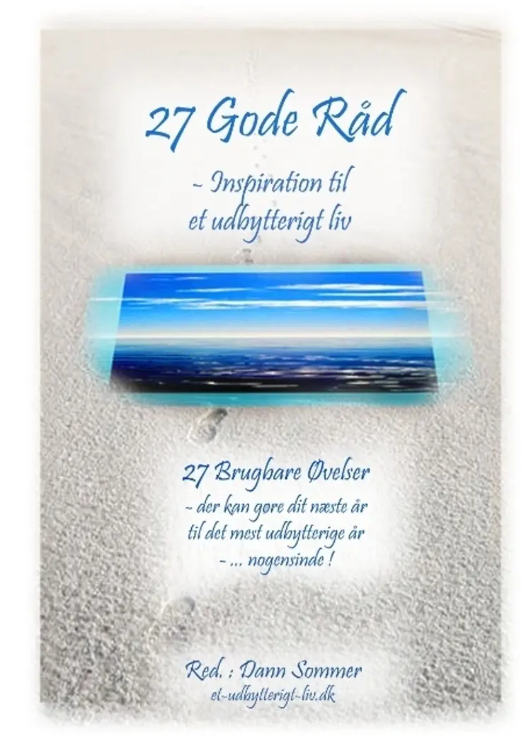 27 gode råd af Dann Sommer