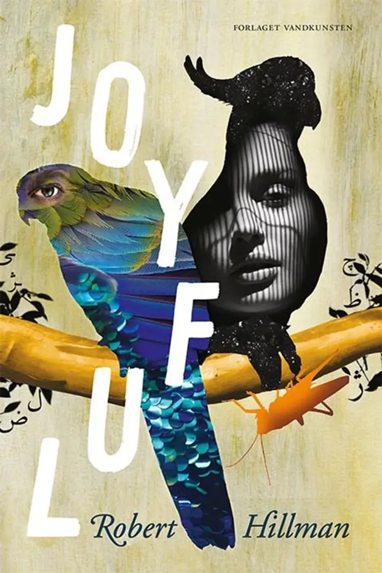 Joyful af Robert Hillman