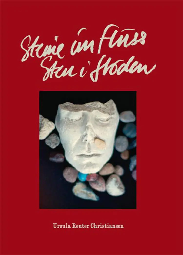 Steine im Fluss af Ursula Reuter Christiansen