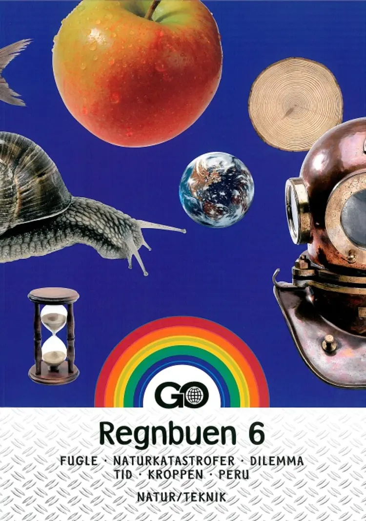 Regnbuen 6 af Frank Jensen