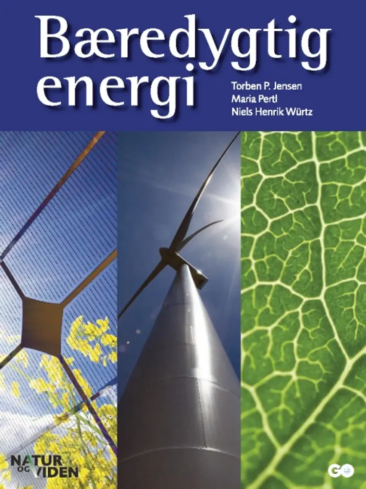 Bæredygtig energi af Maria Pertl