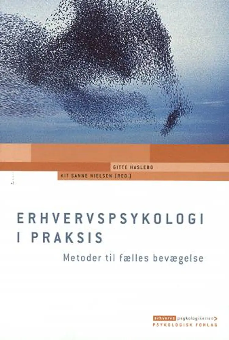 Erhvervspsykologi i praksis af Gitte Haslebo