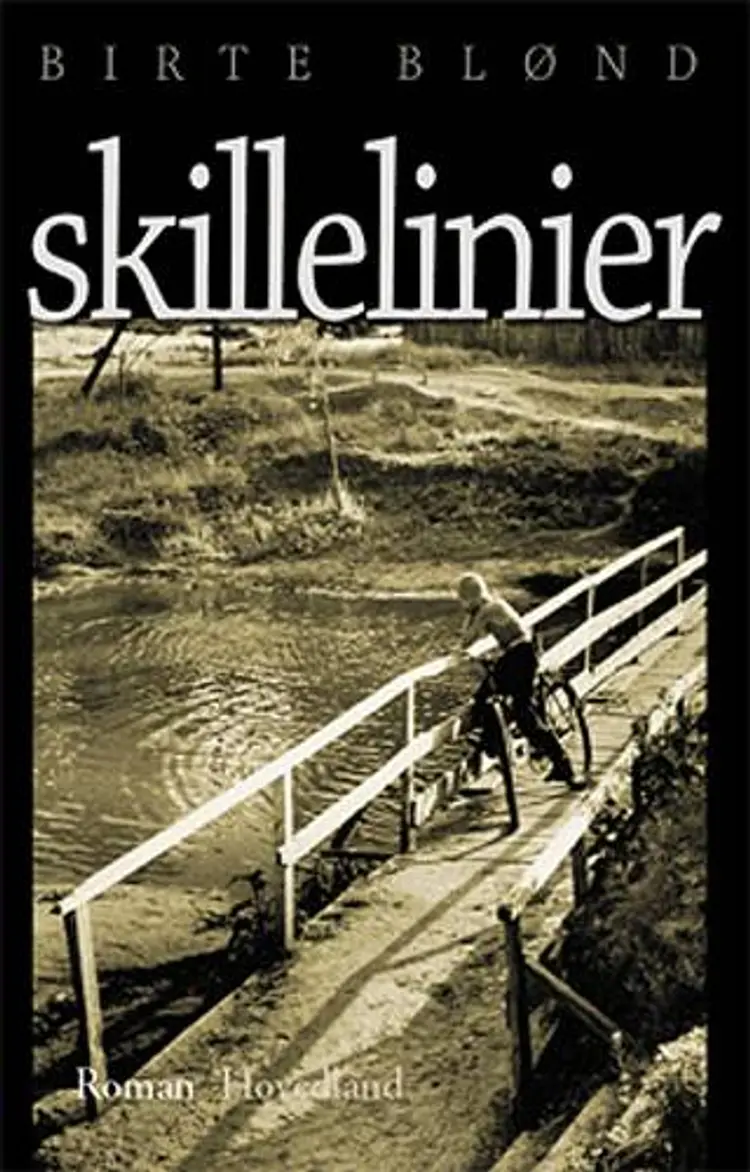 Skillelinier af Birte Blønd