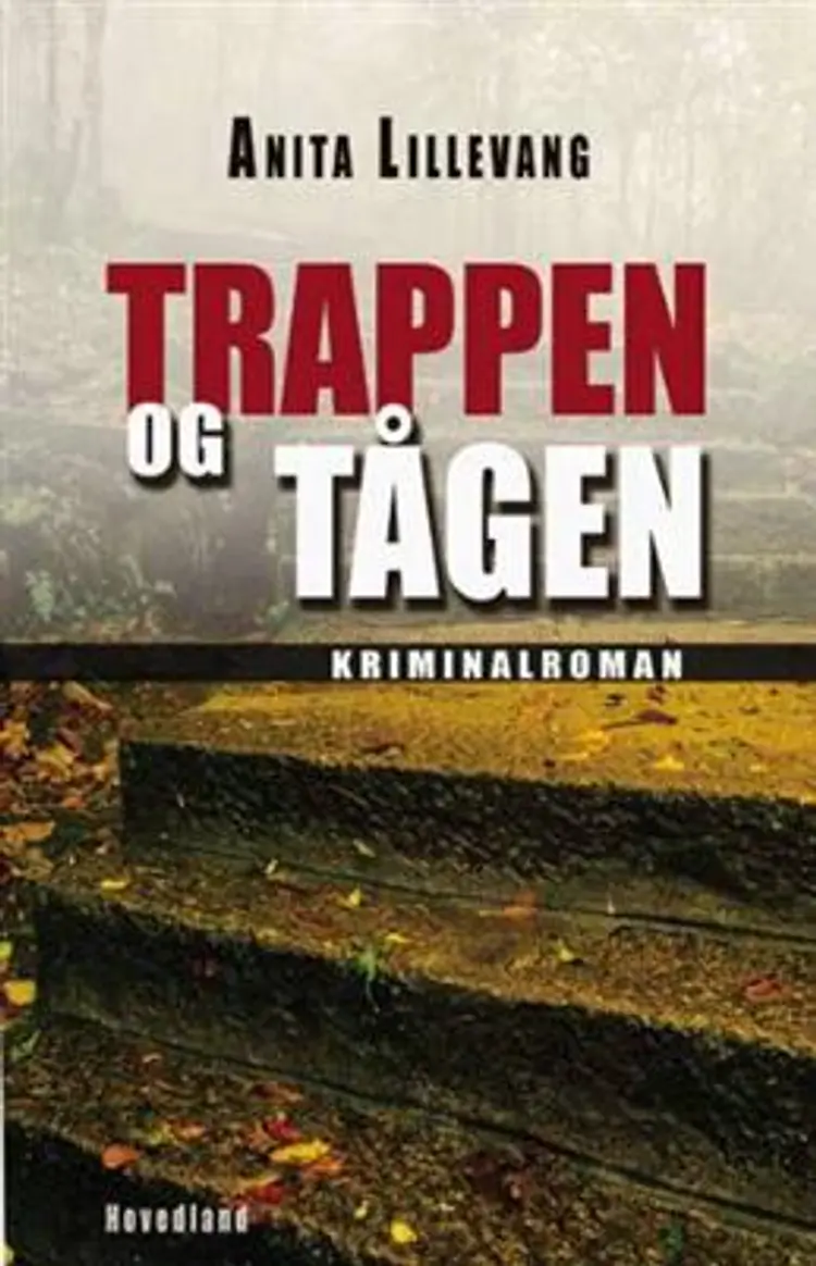Trappen og tågen af Anita Lillevang