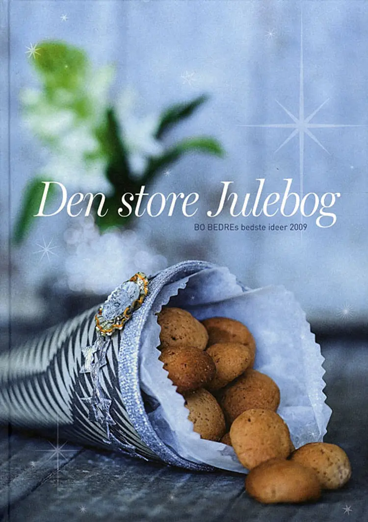 Den store julebog 2009 af Charlotte Ravnholt