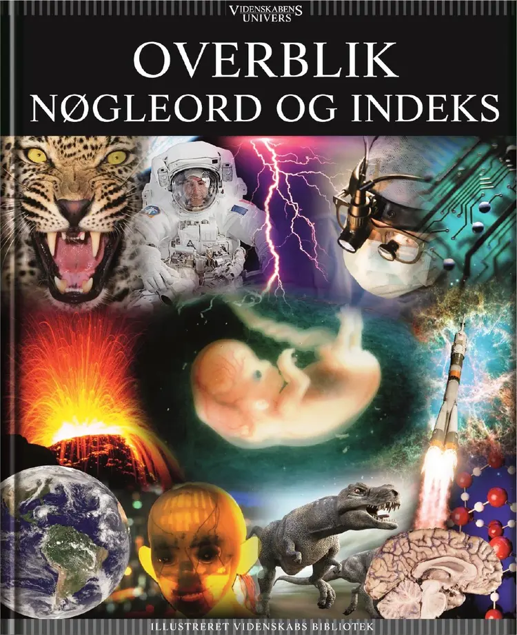 Videnskabens Univers af Lotte Juul Nielsen