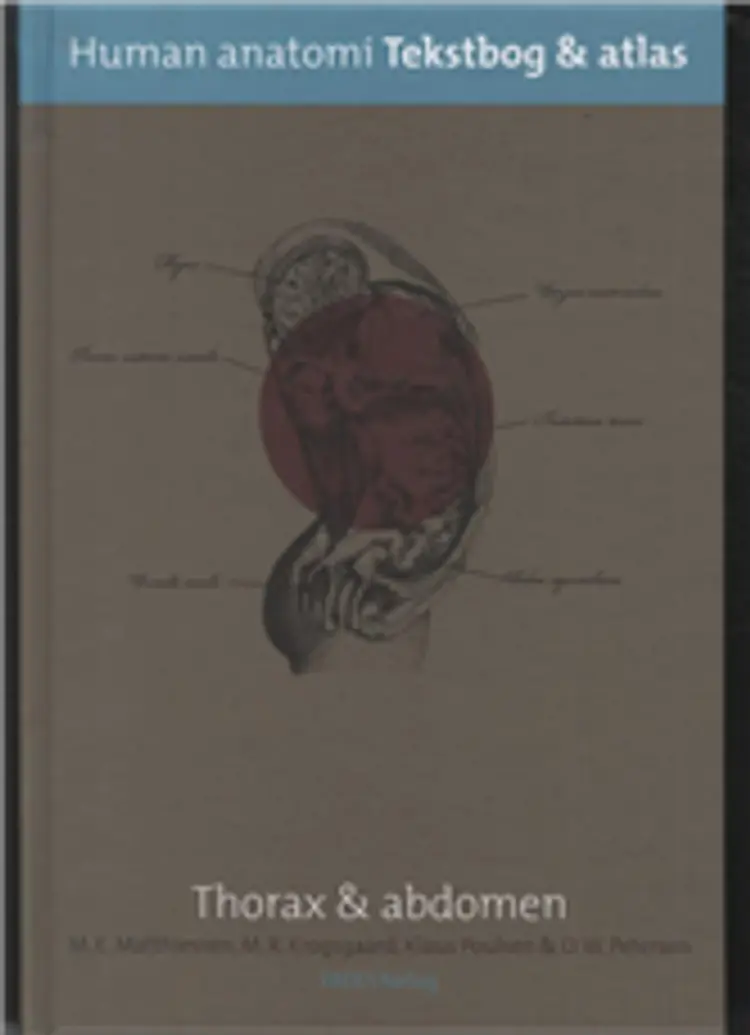 Human anatomi. Thorax & abdomen af Martin Ebbe Matthiessen
