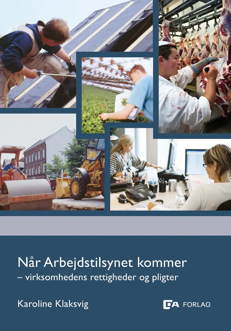 Når arbejdstilsynet kommer af Karoline Klaksvig