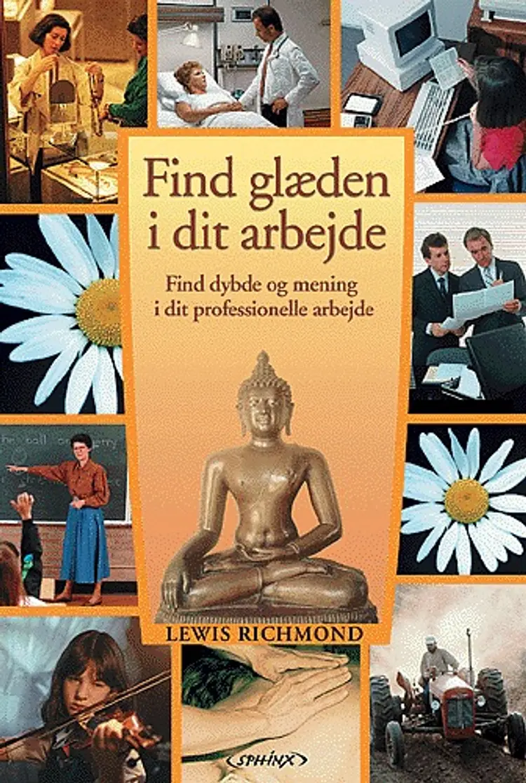 Find glæden i dit arbejde af Lewis Richmond