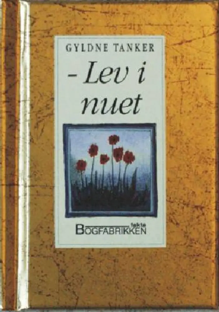 Lev i nuet