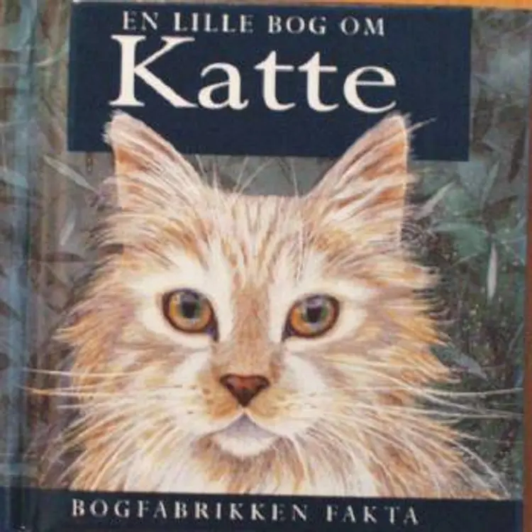 En lille bog om katte