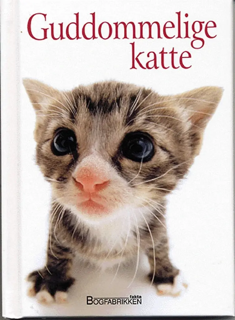 Guddommelige katte af Helen Exley