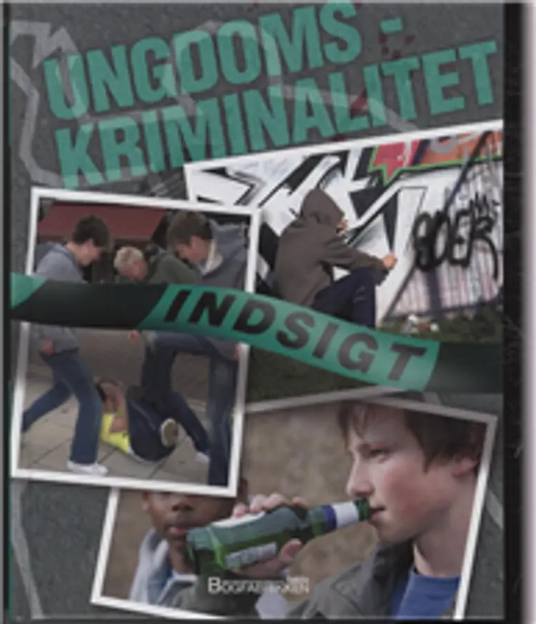 Ungdomskriminalitet af Jenny Vaughan