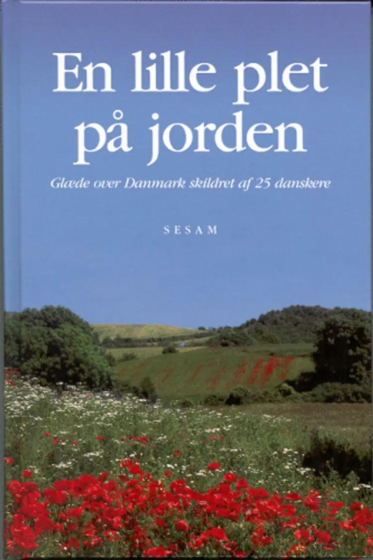 En lille plet på jorden af Søren Vinterberg