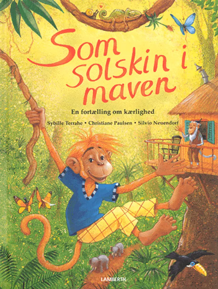 Som solskin i maven af Sybille Terrahe