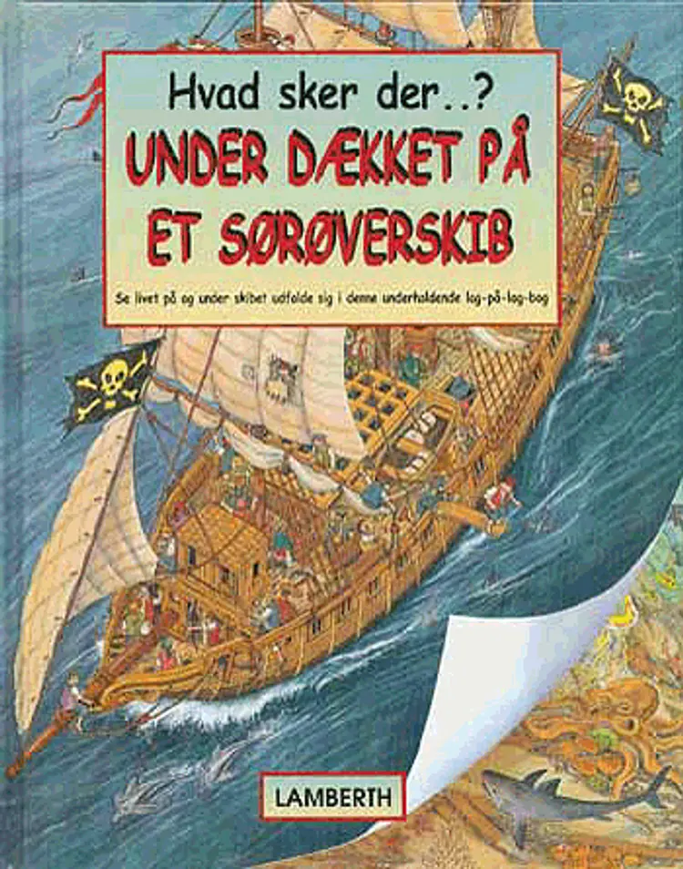 Under dækket på et sørøverskib af Brian Lee