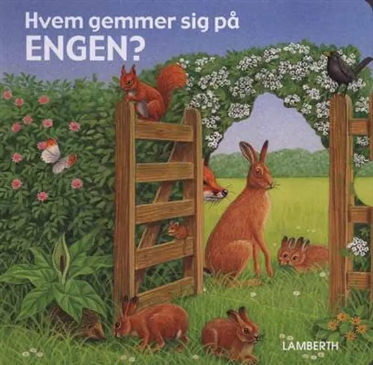 Hvem gemmer sig på engen? af Wolfgang Schleicher
