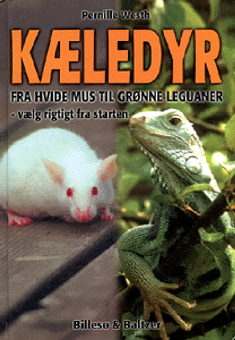 Kæledyr af Pernille Westh