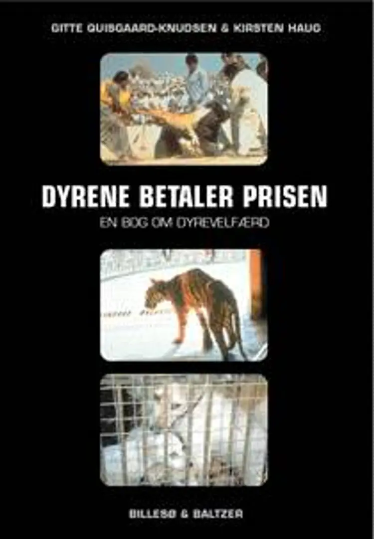 Dyrene betaler prisen af Gitte Quisgaard-Knudsen