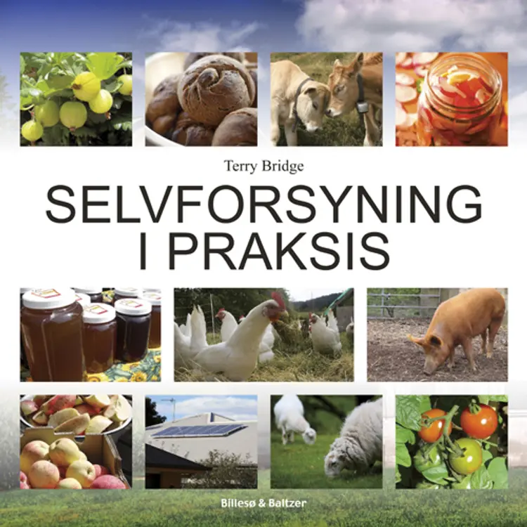 Selvforsyning i praksis af Terry Bridge