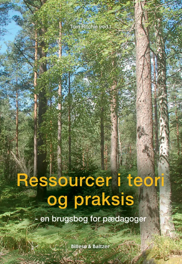 Ressourcer i teori og praksis af Jytte Birk Sørensen