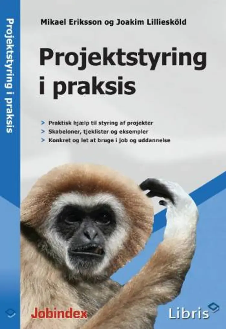 Projektstyring i praksis af Mikael Eriksson