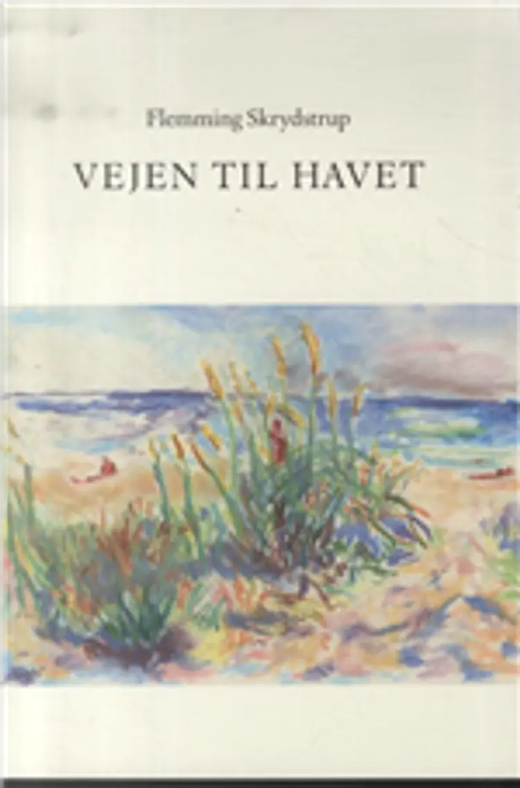 Vejen til havet af Flemming Skrydstrup