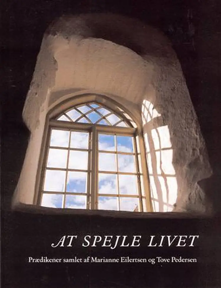 At spejle livet af Marianne Eilertsen